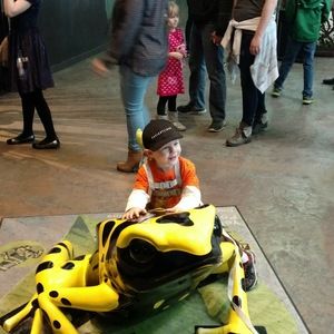 Meet your Posher, Nathan